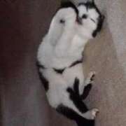 ヒメ日記 2025/10/26 12:15 投稿 ユーコ☆金津随一の神業テク ヴィーナス(金津園)