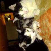 ヒメ日記 2025/10/26 21:33 投稿 ユーコ☆金津随一の神業テク ヴィーナス(金津園)