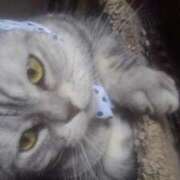 ヒメ日記 2025/10/27 18:03 投稿 ユーコ☆金津随一の神業テク ヴィーナス(金津園)