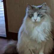 ヒメ日記 2025/10/29 21:03 投稿 ユーコ☆金津随一の神業テク ヴィーナス(金津園)