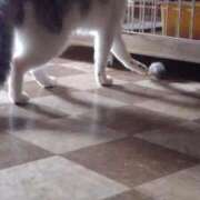 ヒメ日記 2025/10/30 19:24 投稿 ユーコ☆金津随一の神業テク ヴィーナス(金津園)