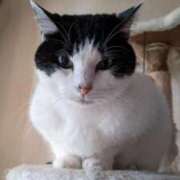 ヒメ日記 2025/10/31 19:48 投稿 ユーコ☆金津随一の神業テク ヴィーナス(金津園)