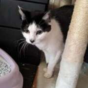 ヒメ日記 2025/11/01 12:03 投稿 ユーコ☆金津随一の神業テク ヴィーナス(金津園)