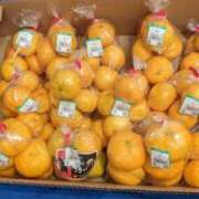 ヒメ日記 2025/11/01 23:03 投稿 ユーコ☆金津随一の神業テク ヴィーナス(金津園)