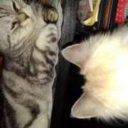 ヒメ日記 2025/11/02 20:18 投稿 ユーコ☆金津随一の神業テク ヴィーナス(金津園)