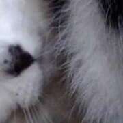 ヒメ日記 2025/11/04 17:48 投稿 ユーコ☆金津随一の神業テク ヴィーナス(金津園)