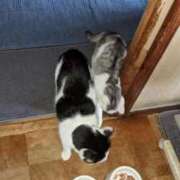 ヒメ日記 2025/11/06 12:33 投稿 ユーコ☆金津随一の神業テク ヴィーナス(金津園)