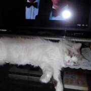 ヒメ日記 2025/11/07 17:27 投稿 ユーコ☆金津随一の神業テク ヴィーナス(金津園)