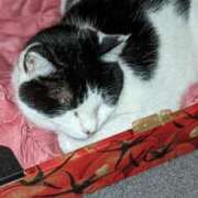 ヒメ日記 2025/11/08 12:09 投稿 ユーコ☆金津随一の神業テク ヴィーナス(金津園)