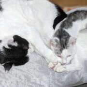 ヒメ日記 2025/11/08 12:18 投稿 ユーコ☆金津随一の神業テク ヴィーナス(金津園)