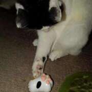 ヒメ日記 2025/11/08 21:33 投稿 ユーコ☆金津随一の神業テク ヴィーナス(金津園)