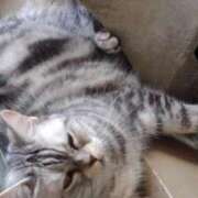 ヒメ日記 2025/11/09 12:15 投稿 ユーコ☆金津随一の神業テク ヴィーナス(金津園)