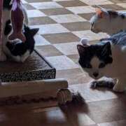 ヒメ日記 2025/11/10 17:48 投稿 ユーコ☆金津随一の神業テク ヴィーナス(金津園)