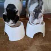 ヒメ日記 2025/11/12 18:03 投稿 ユーコ☆金津随一の神業テク ヴィーナス(金津園)