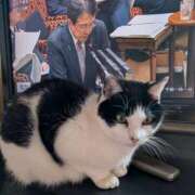 ヒメ日記 2025/11/13 19:33 投稿 ユーコ☆金津随一の神業テク ヴィーナス(金津園)