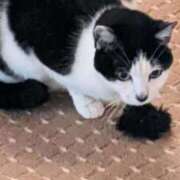 ヒメ日記 2025/11/15 12:03 投稿 ユーコ☆金津随一の神業テク ヴィーナス(金津園)