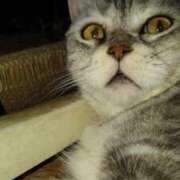 ヒメ日記 2025/11/16 20:03 投稿 ユーコ☆金津随一の神業テク ヴィーナス(金津園)