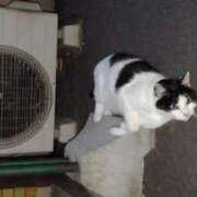 ヒメ日記 2025/11/18 17:45 投稿 ユーコ☆金津随一の神業テク ヴィーナス(金津園)