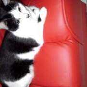 ヒメ日記 2025/11/20 12:03 投稿 ユーコ☆金津随一の神業テク ヴィーナス(金津園)