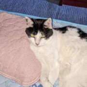 ヒメ日記 2025/11/21 17:54 投稿 ユーコ☆金津随一の神業テク ヴィーナス(金津園)