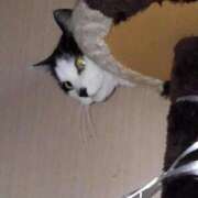 ヒメ日記 2025/11/21 18:03 投稿 ユーコ☆金津随一の神業テク ヴィーナス(金津園)