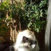 ヒメ日記 2025/11/22 12:16 投稿 ユーコ☆金津随一の神業テク ヴィーナス(金津園)