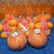 ヒメ日記 2025/11/22 23:15 投稿 ユーコ☆金津随一の神業テク ヴィーナス(金津園)