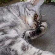 ヒメ日記 2025/11/23 12:21 投稿 ユーコ☆金津随一の神業テク ヴィーナス(金津園)