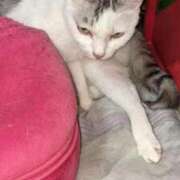 ヒメ日記 2025/11/26 20:45 投稿 ユーコ☆金津随一の神業テク ヴィーナス(金津園)