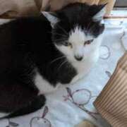 ヒメ日記 2025/11/27 19:21 投稿 ユーコ☆金津随一の神業テク ヴィーナス(金津園)