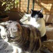 ヒメ日記 2025/11/29 12:27 投稿 ユーコ☆金津随一の神業テク ヴィーナス(金津園)