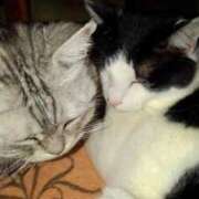 ヒメ日記 2025/11/30 20:27 投稿 ユーコ☆金津随一の神業テク ヴィーナス(金津園)