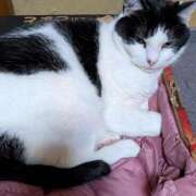 ヒメ日記 2025/12/01 18:48 投稿 ユーコ☆金津随一の神業テク ヴィーナス(金津園)