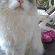 ヒメ日記 2025/12/04 12:12 投稿 ユーコ☆金津随一の神業テク ヴィーナス(金津園)