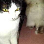 ヒメ日記 2025/12/04 22:03 投稿 ユーコ☆金津随一の神業テク ヴィーナス(金津園)