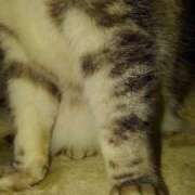 ヒメ日記 2025/12/05 17:45 投稿 ユーコ☆金津随一の神業テク ヴィーナス(金津園)