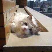 ヒメ日記 2025/12/06 12:18 投稿 ユーコ☆金津随一の神業テク ヴィーナス(金津園)