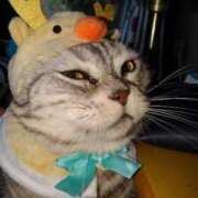 ヒメ日記 2025/12/07 12:03 投稿 ユーコ☆金津随一の神業テク ヴィーナス(金津園)