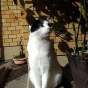 ヒメ日記 2025/12/09 17:48 投稿 ユーコ☆金津随一の神業テク ヴィーナス(金津園)