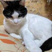 ユーコ☆金津随一の神業テク いつもと違う所 ヴィーナス(金津園)