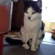 ユーコ☆金津随一の神業テク 季節のもの ヴィーナス(金津園)