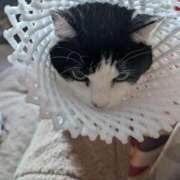 ヒメ日記 2025/12/15 18:27 投稿 ユーコ☆金津随一の神業テク ヴィーナス(金津園)