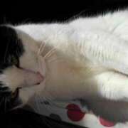 ユーコ☆金津随一の神業テク 包茎短小 ヴィーナス(金津園)