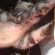 ユーコ☆金津随一の神業テク ちょっと多いみたい ヴィーナス(金津園)