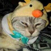 ヒメ日記 2025/12/21 12:06 投稿 ユーコ☆金津随一の神業テク ヴィーナス(金津園)