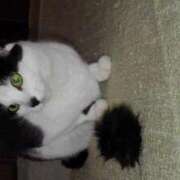 ヒメ日記 2025/12/22 19:12 投稿 ユーコ☆金津随一の神業テク ヴィーナス(金津園)