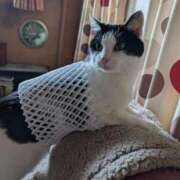 ヒメ日記 2025/12/23 20:48 投稿 ユーコ☆金津随一の神業テク ヴィーナス(金津園)