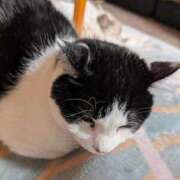 ヒメ日記 2025/12/25 19:18 投稿 ユーコ☆金津随一の神業テク ヴィーナス(金津園)