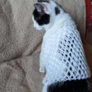 ヒメ日記 2025/12/28 20:18 投稿 ユーコ☆金津随一の神業テク ヴィーナス(金津園)