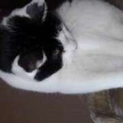 ヒメ日記 2025/12/29 18:51 投稿 ユーコ☆金津随一の神業テク ヴィーナス(金津園)